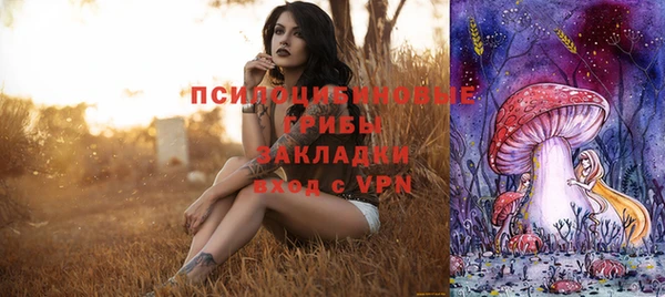 apvp Верхний Тагил