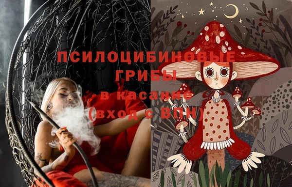 apvp Верхний Тагил